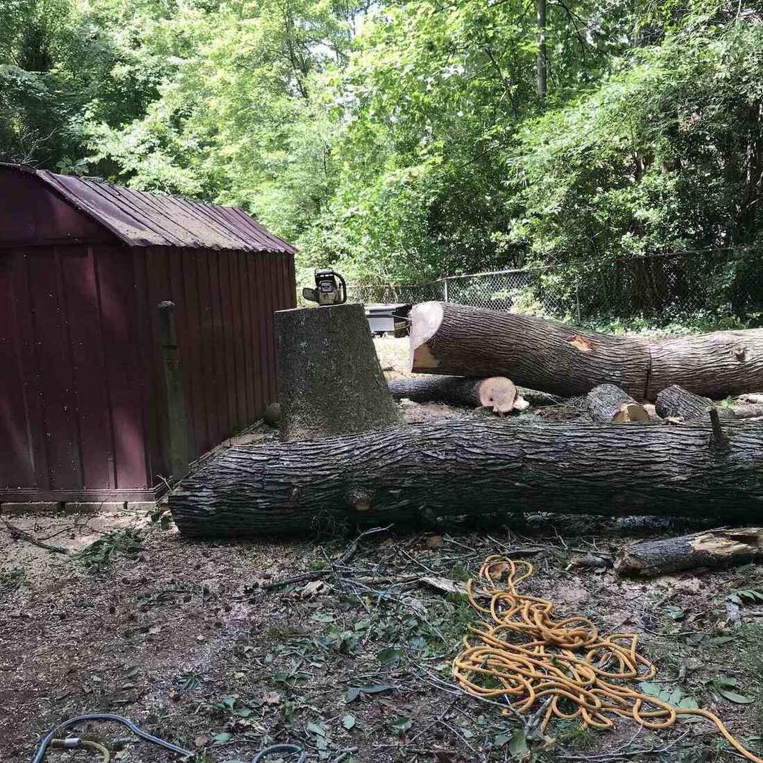 Green Limb crew rigging a large trunk section for a controlled drop