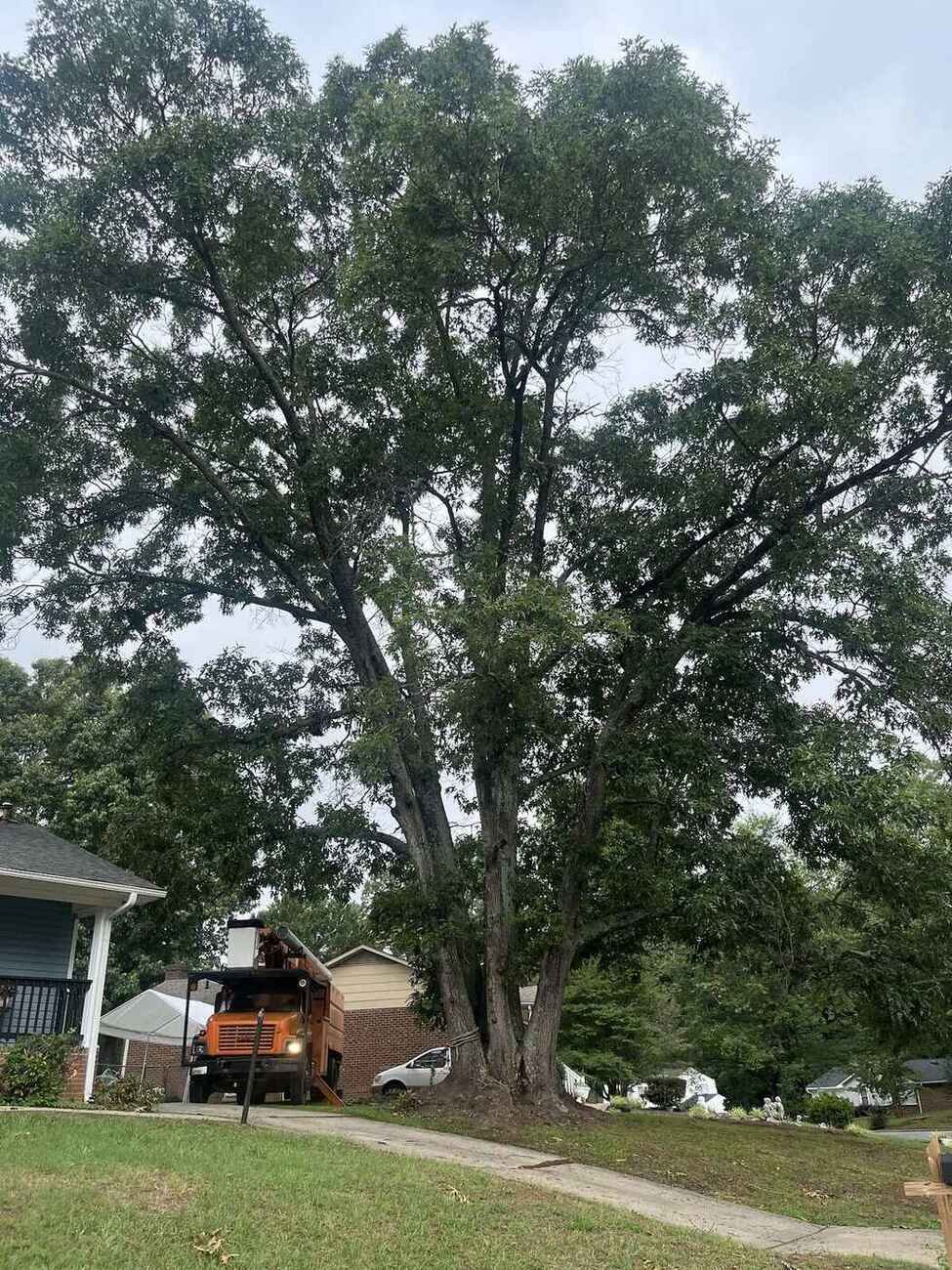Boom working over the roofline — Green Limb Tree Service, Greensboro NC