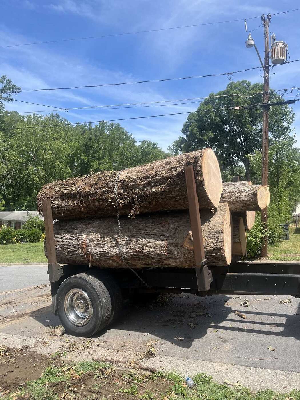 Trailer loaded with logs for haul-away after a Green Limb removal
