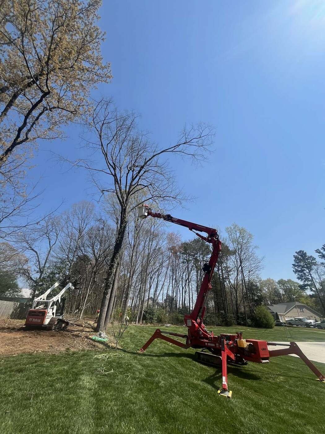 Spider lift positioned for pruning in a Greensboro tree canopy